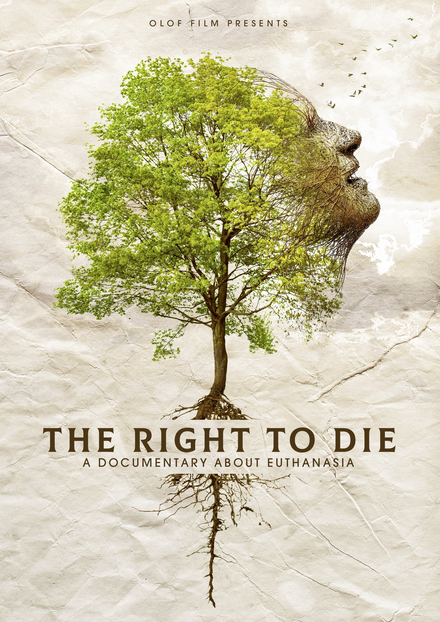 The Right to Die thumbnail